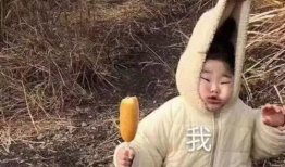 沙雕吃瓜爆料图片高清,沙雕吃瓜爆料，娱乐圈幕后真相大曝光！