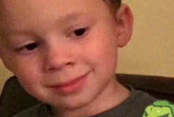 张继科景甜吃瓜爆料,吃瓜群众纷纷围观